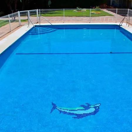 Bakari Koko * 托雷莫利诺斯